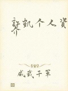 许凯个人资料简介