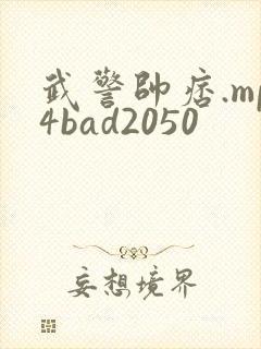 武警帅痞.mp4bad2050