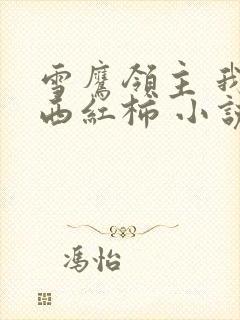 雪鹰领主 我吃西红柿 小说