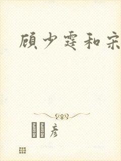 顾少霆和宋斯曼