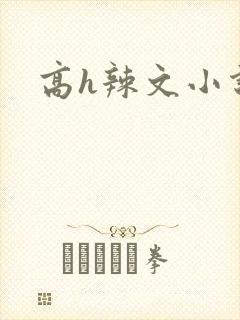 高h辣文小说