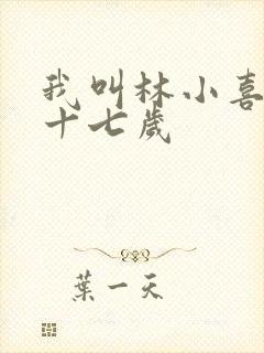 我叫林小喜今年十七岁
