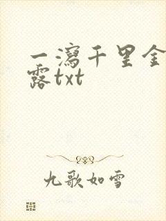 一泻千里金银花露txt