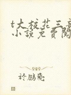 t大校花三部曲小说免费阅读全文