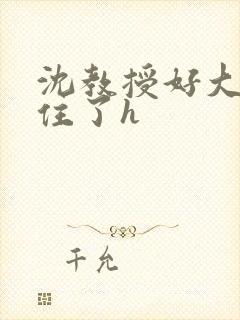 沈教授好大含不住了h