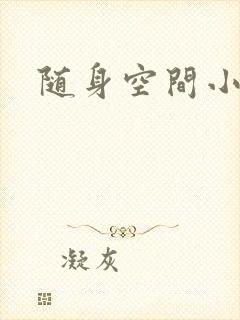 随身空间小说
