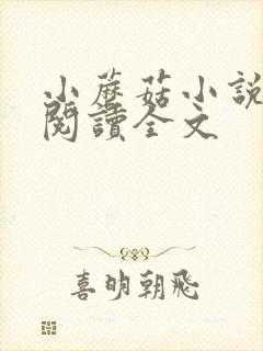 小蘑菇小说免费阅读全文