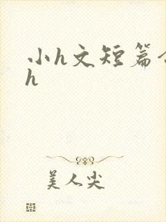 小h文短篇合集h