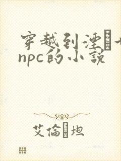 穿越到湮婸世界npc的小说