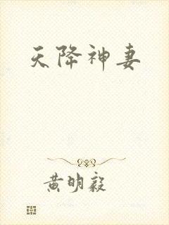 天降神妻