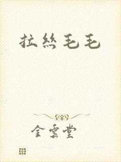 拉丝毛毛