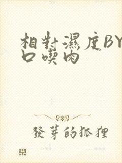 相对湿度BY大口吃肉