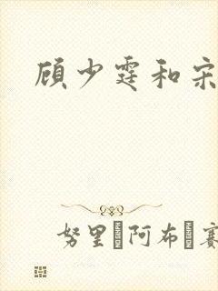 顾少霆和宋斯曼