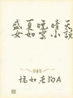 盛夏晚晴天之美女如云小说