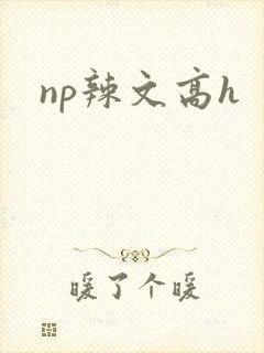 np辣文高h