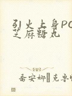 引火上身POP芝麻糖丸