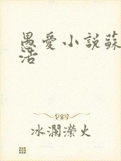 愚爱小说苏倩孙浩