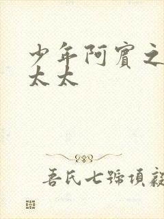 少年阿宾之房东太太