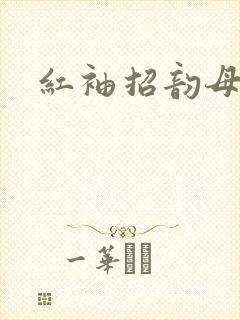 红袖招韵母攻略