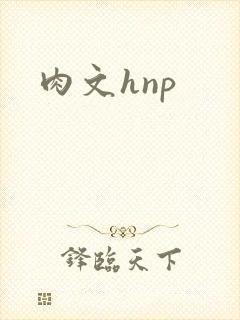肉文hnp