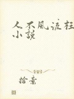人不风流枉少年小说