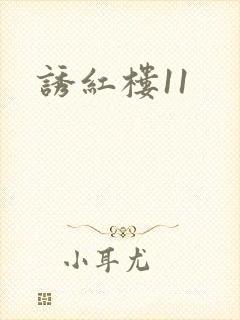 诱红楼11