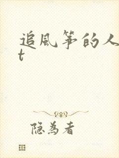 追风筝的人txt