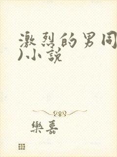 激烈的男同(h)小说