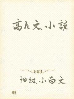 高h文小说
