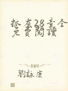 抓灰28章全部免费阅读