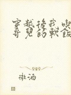 穿越后我吃到了哥儿的软饭炉山灰