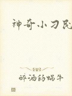 神奇小刁民