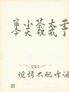 宁小茶太子殿下今天破戒了吗免费阅读