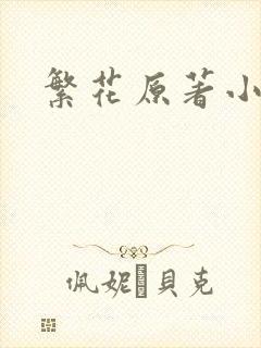 繁花原著小说
