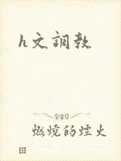 h文调教