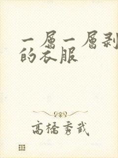 一层一层剥掉你的衣服