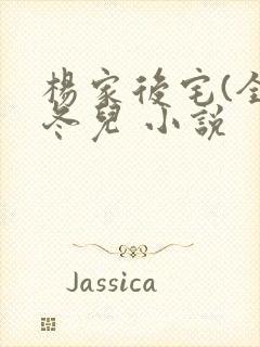 杨家后宅(全)冬儿 小说