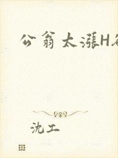 公翁太涨H欲渴