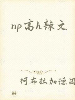 np高h辣文
