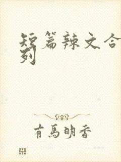 短篇辣文合集系列