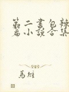 第二书包辣网短篇小说合集