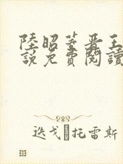 陆昭菱晋王的小说免费阅读
