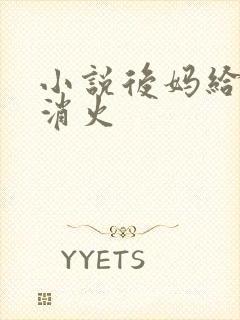 小说后妈给我消消火