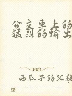 公交车上的诗请猛烈的输出阅读