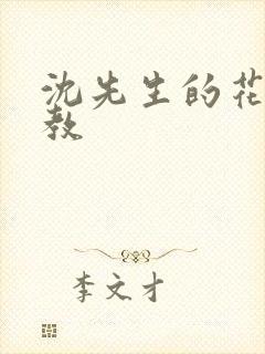 沈先生的花式调教