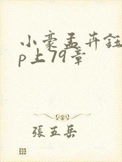 小豪孟卉钰慧三p上79章