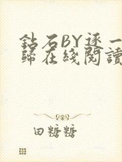 钻石BY逐一而归在线阅读