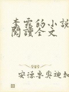 李霖的小说免费阅读全文