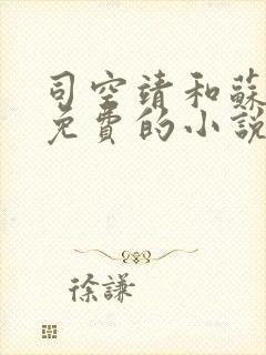 司空靖和苏月汐免费的小说笔趣阁