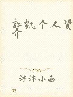 许凯个人资料简介